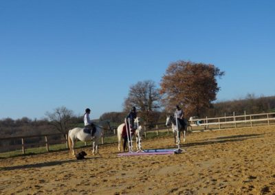 Cours collectif d'équitation