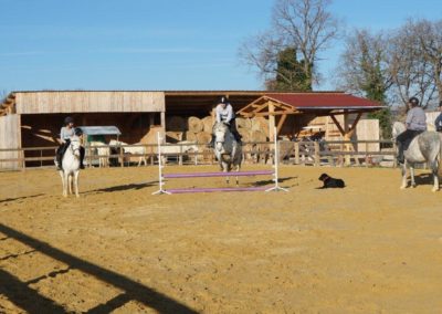 Franchissement d'obstacle à cheval