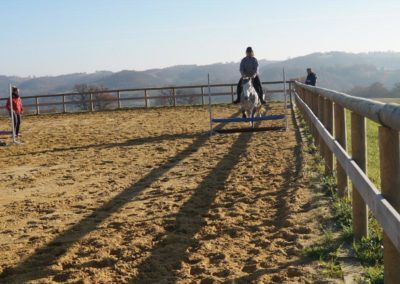 Franchissement d'obstacle à cheval