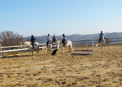 Cours collectif d'équitation