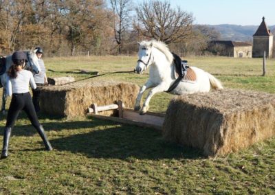 Cheval Camargue à l'entrainement au saut