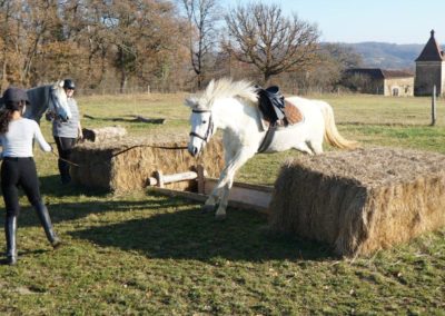 Cheval Camargue à l'entrainement au saut