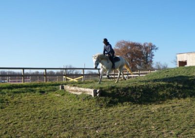 Entrainement au saut d'obstacle à cheval