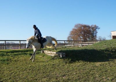 Entrainement au saut d'obstacle à cheval