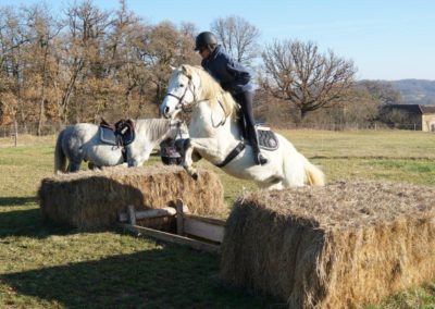 Entrainement au saut d'obstacle à cheval