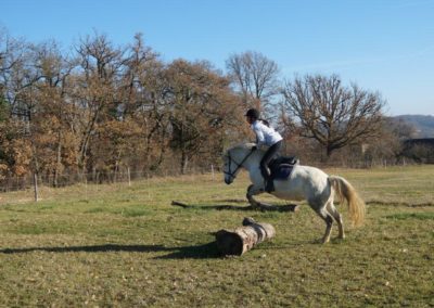 Cavalière s'entraînant au saut d'obstacle à cheval