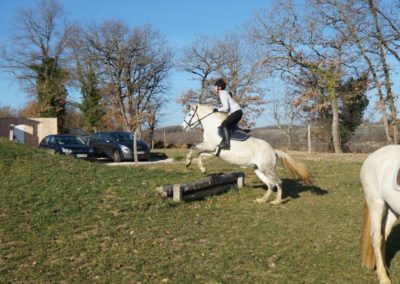 Entrainement saut d'obstacle à cheval