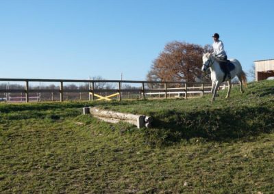 Cavaliere s'entraiannt au saut d'obstacle