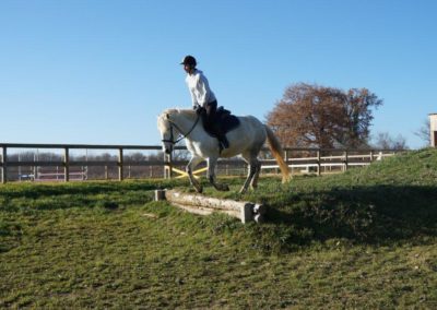 Cavalière qui saute un obstacle avec son cheval