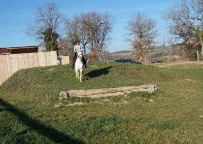 Entrainement d'une cavalière au saut avec son cheval.