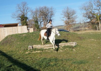 Entrainement au saut d'obstacle avec cheval.