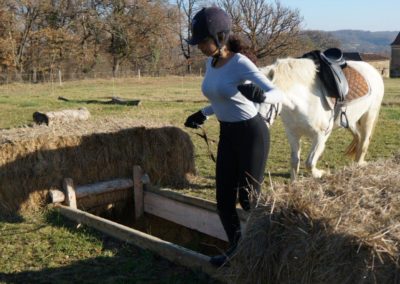 Formation d'un cavalier avec son cheval