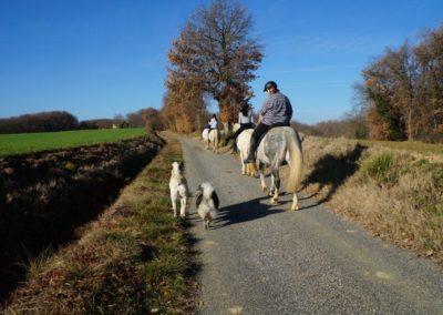 Groupe de cavaliers sur un chemin de randonnée.