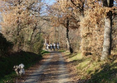 Groupe de cavaliers en randonnée à cheval