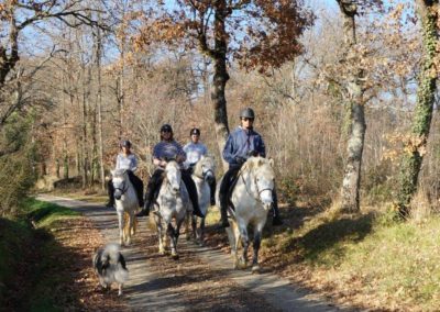 Randonnée de groupe à cheval dans le Gers.