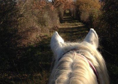 Belle randonnée à cheval.