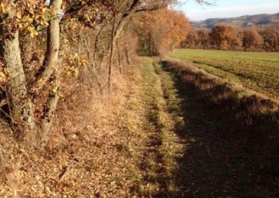 Beau chemin de randonnée équestre en automne.