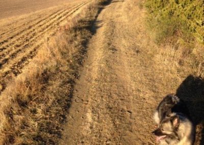 Beau chemin de randonnée à cheval