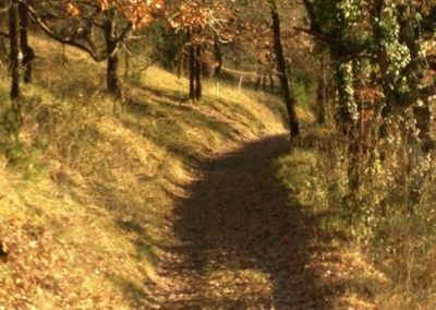 Belles couleurs d'automne