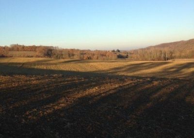 Nombreux chemins de randonnées