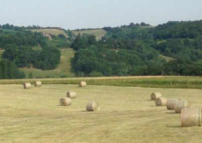 Prairies proches du Thoumas.